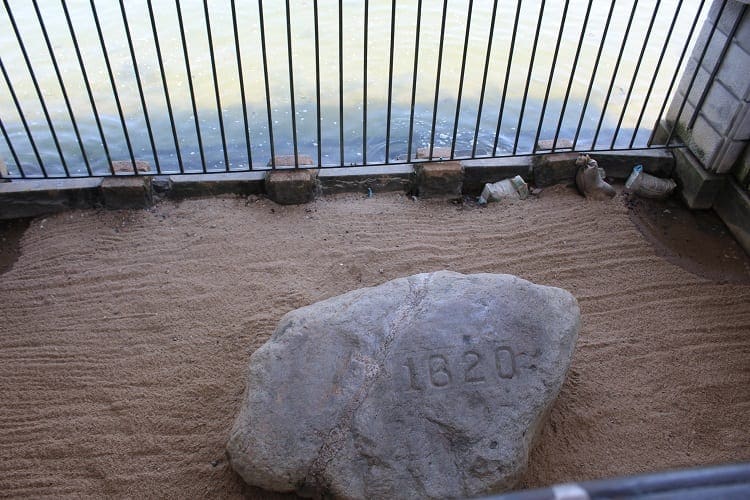 plymouth rock