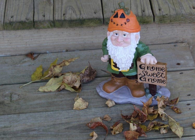 gnome for all seasons 2