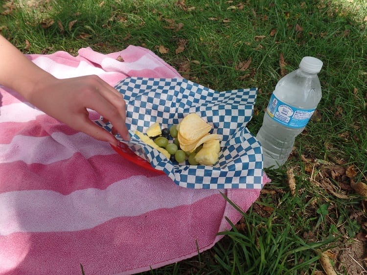 Beechbend-picnic