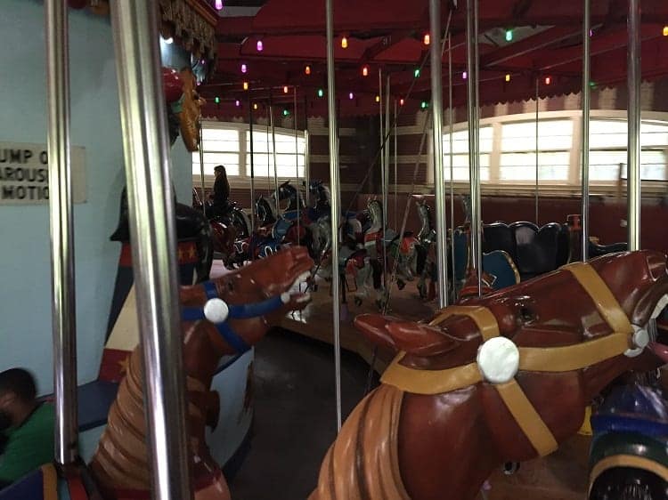 NYC Carousel