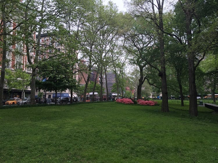 NYC theodore roosevelt park