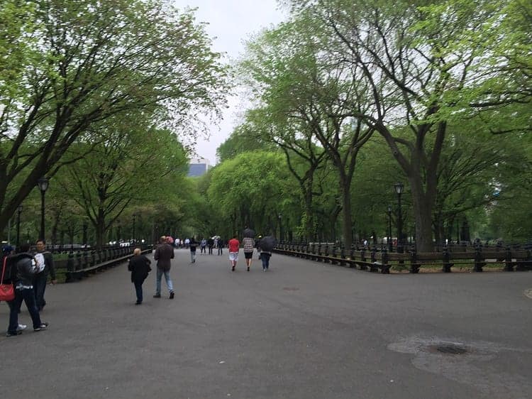 nyc central park 2