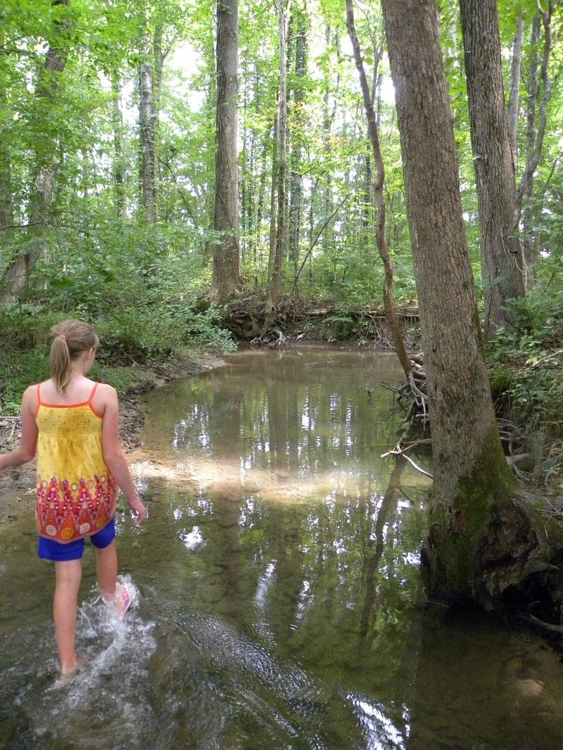 SHARON - natalie creek